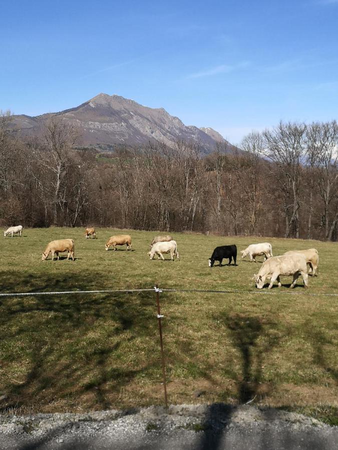 Chalet Bastilor La Joue du Loup Zewnętrze zdjęcie